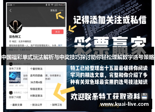 中国福彩单式玩法解析与中奖技巧探讨助你轻松理解数字选号策略